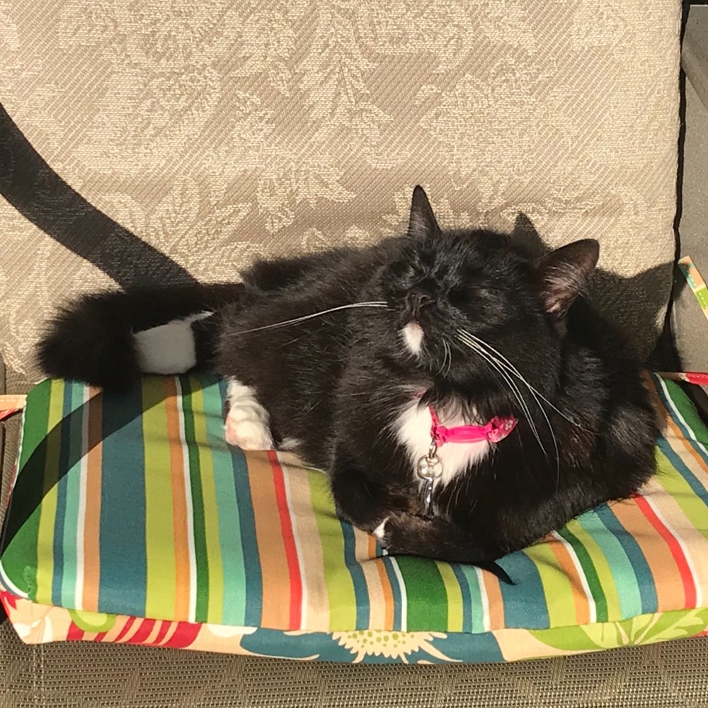 Zoe Catching Sun